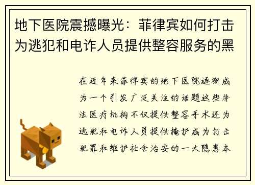 地下医院震撼曝光：菲律宾如何打击为逃犯和电诈人员提供整容服务的黑暗产业
