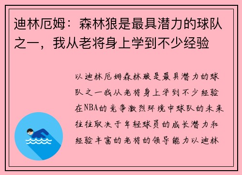 迪林厄姆：森林狼是最具潜力的球队之一，我从老将身上学到不少经验