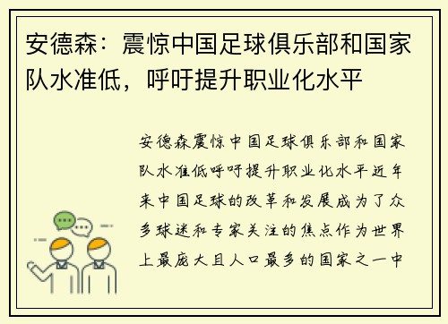 安德森：震惊中国足球俱乐部和国家队水准低，呼吁提升职业化水平
