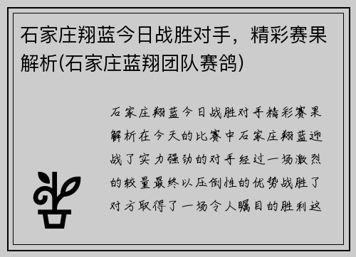 石家庄翔蓝今日战胜对手，精彩赛果解析(石家庄蓝翔团队赛鸽)