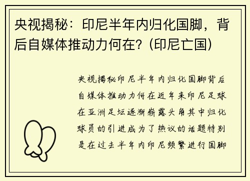 央视揭秘：印尼半年内归化国脚，背后自媒体推动力何在？(印尼亡国)