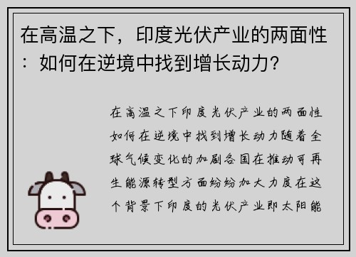 在高温之下，印度光伏产业的两面性：如何在逆境中找到增长动力？
