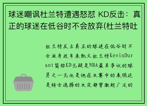 球迷嘲讽杜兰特遭遇怒怼 KD反击：真正的球迷在低谷时不会放弃(杜兰特吐槽)